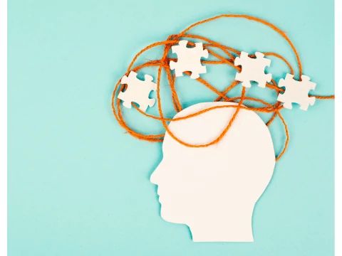 Pszichobiotikum a mentális egészségért