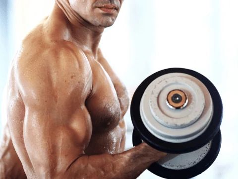 Kreatin, a testépítés támogatója