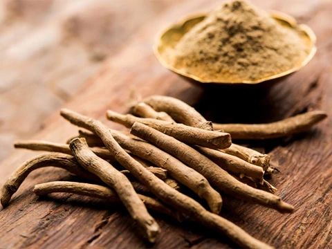 Ashwagandha - Több mint 3000 éve alkalmazott gyógynövény