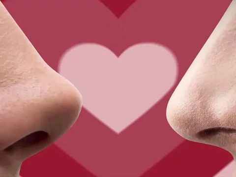 A csábításairól híres hormon - Feromon