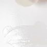 Imagine 2/2 - Bio Pure Golyós Dezodor - 50 ml - Coconutoil Cosmetics - 