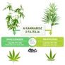 Imagine 4/4 - CBD Kannabisz Krém - 150 ml - MERU SportCare - 