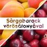 Kép 2/2 - Sárgabarack vörösáfonyával - 190 ml - Tündérnektár - 