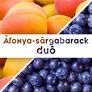 Kép 2/2 - Áfonya-sárgabarack duó - 190 ml - Tündérnektár - 