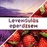 Imagine 2/2 - Levendulás eperdzsem - 190 ml - Tündérnektár - 