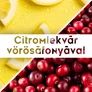 Kép 2/2 - Citromlekvár vörösáfonyával - 190 ml - Tündérnektár - 