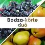 Kép 2/2 - Bodza-körte duó - 190 ml - Tündérnektár - 