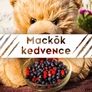 Kép 2/2 - Mackók kedvence - 190 ml - Tündérnektár - 