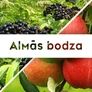 Imagine 2/2 - Almás bodza lekvár - 190 ml - Tündérnektár - 