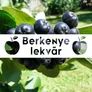 Kép 2/2 - Berkenye lekvár - almával - 190 ml - Tündérnektár - 