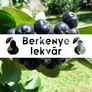 Kép 2/2 - Berkenye lekvár - körtével - 190 ml - Tündérnektár - 