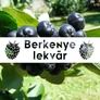 Kép 2/2 - Berkenye lekvár - szederrel - 190 ml - Tündérnektár - 