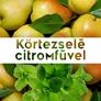 Kép 2/2 - Körtezselé citromfűvel - 190 ml - Tündérnektár - 