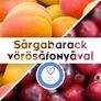 Kép 2/2 - Sárgabarack vörösáfonyával - gyümölcscukorral - 190 ml - Tündérnektár - 