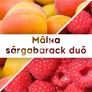 Kép 2/2 - Málna sárgabarack duó - 190 ml - Tündérnektár - 