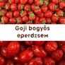 Kép 2/2 - Goji bogyós eperdzsem - 190 ml - Tündérnektár - 