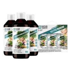 60 napos Tisztító Program - 3x 500 ml - Natur Tanya - 