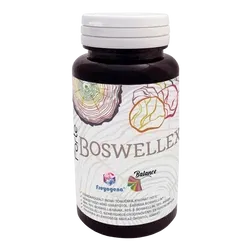 Forte Boswellex - 60 kapszula - Freyagena Balance - 