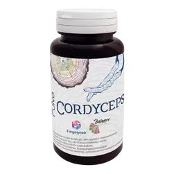 Fulvo Cordyceps - 60 kapszula - Freyagena Balance - 