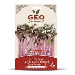 Bavicchi Bio-Rotkohl für die Keimung - Enthält Geschwür heilende Verbindung, Vitamin U.