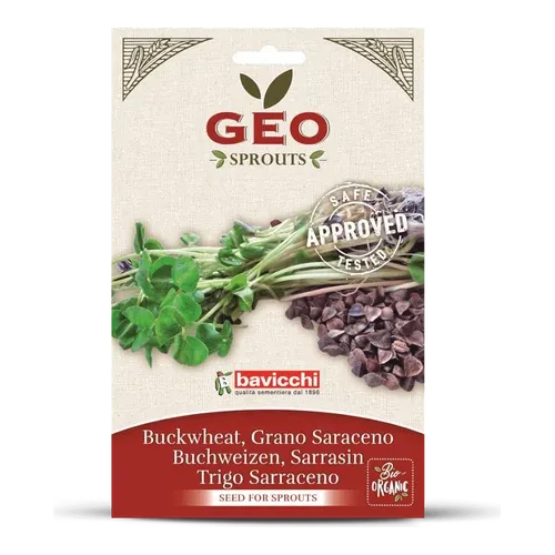 Bavicchi Bio Hajdina csíráztatáshoz - Csírája főételként is felhasználható. Adja kenyértésztához. - 