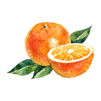 Organic C 500 - dwa rodzaje witaminy C na żołądek - 100 tabletek do żucia - pomarańczowa - Natur Tanya