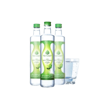 Nordic Koivu - Bio Nyírfanedv - Ipari titokkal védett! - 500 ml - Natur Tanya