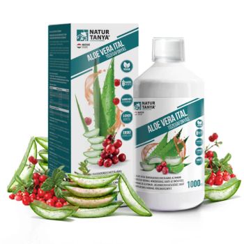 Aloe Vera ital Tőzegáfonyás, erdei gyümölcsös - független, akkreditált laborral igazolt acemannán tartalommal - 1000 ml - Natur Tanya