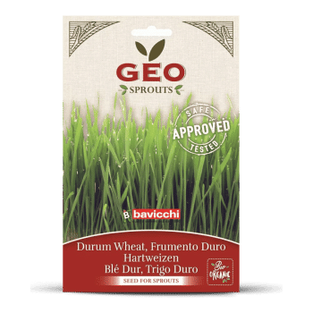 Bavicchi Organiczna pszenica Durum do kiełkowania - cenne białka, witaminy i kompleks błonnika pokarmowego.