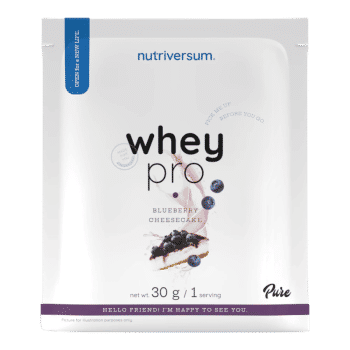 Molke PRO - 30 g - Blaubeer-Käsekuchen - Nutriversum