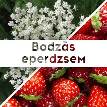 Bodzás eperdzsem - 190 ml - Tündérnektár