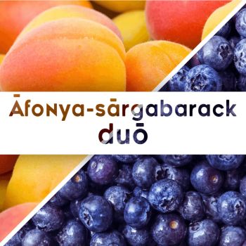 Áfonya-sárgabarack duó - 190 ml - Tündérnektár