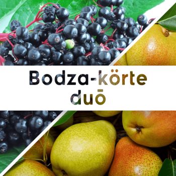 Bodza-körte duó - 190 ml - Tündérnektár