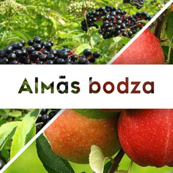 Almás bodza lekvár - 190 ml - Tündérnektár