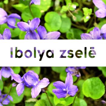 Ibolya zselé - 190 ml - Tündérnektár