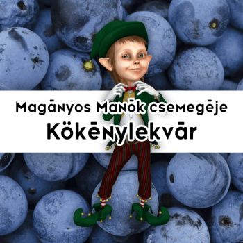Magányos Manók Csemegéje Kökénylekvár - 190 ml - Tündérnektár
