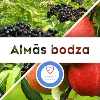 Apfel-Holunderbeer-Konfitüre - mit Fruchtzucker - 190 ml - Tündérnektár