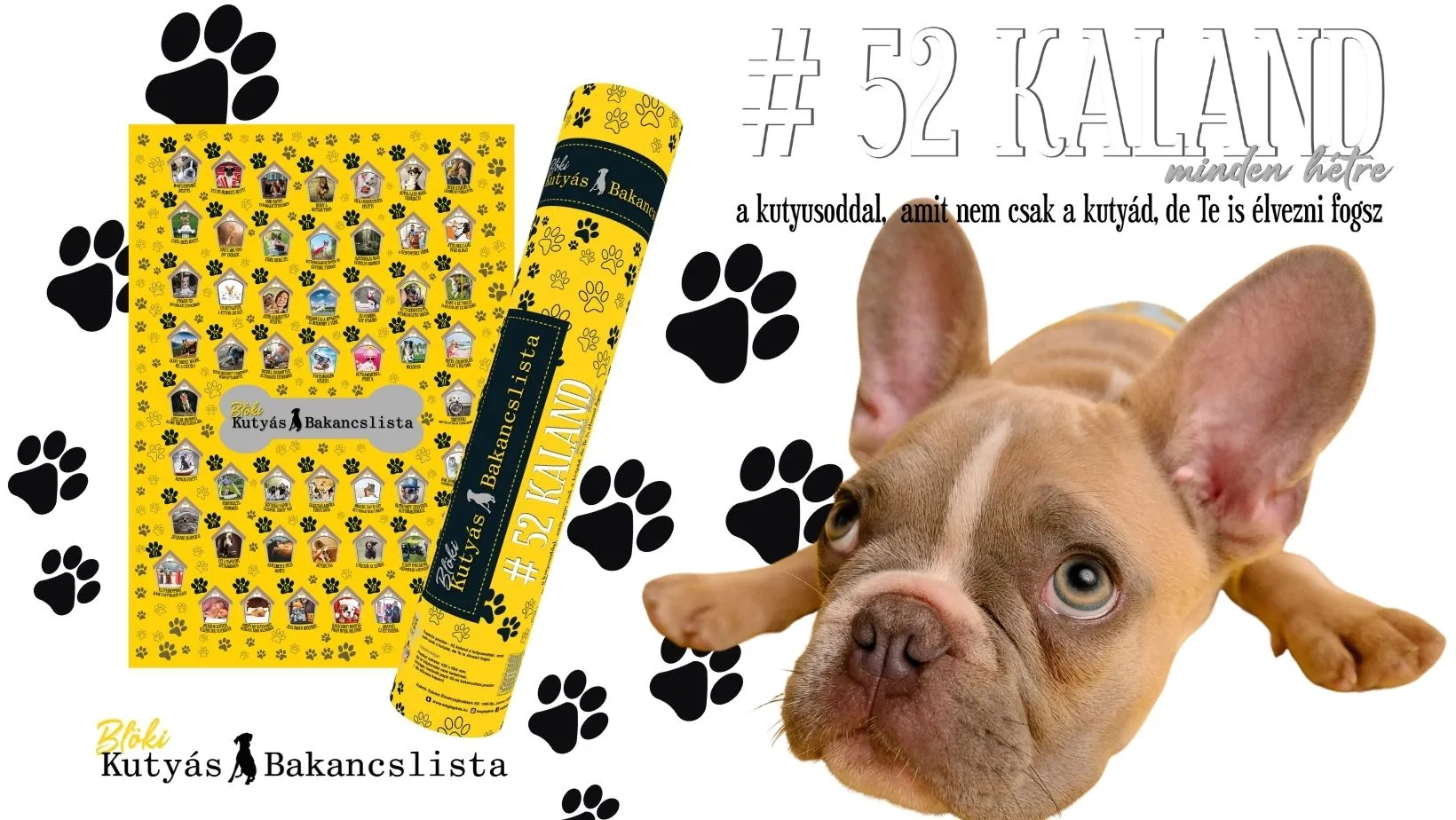 BLÖKI - A kutyás bakancslista 52 hétre/52 közös élmény kedvenceddel