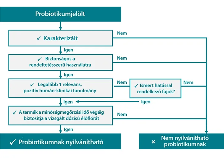 FLÓRABIOTIKUM - probiotikum és fermentált prebiotikum a bélmikrobiom egyensúlyához - 30 kapszula - Natur Tanya