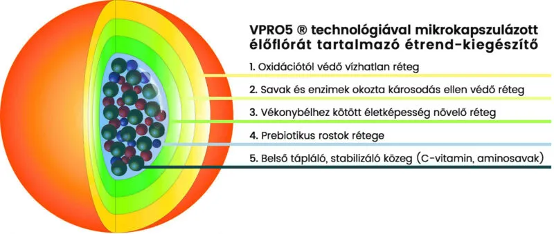 GastroBalance Plus problémaspecifikus élőflóra (60db)