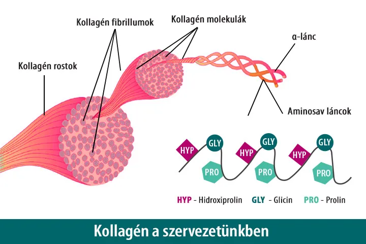 GOOD MORNING! Kollagén cappuccino - hal és marha kollagén peptidek - 320g - Natur Tanya