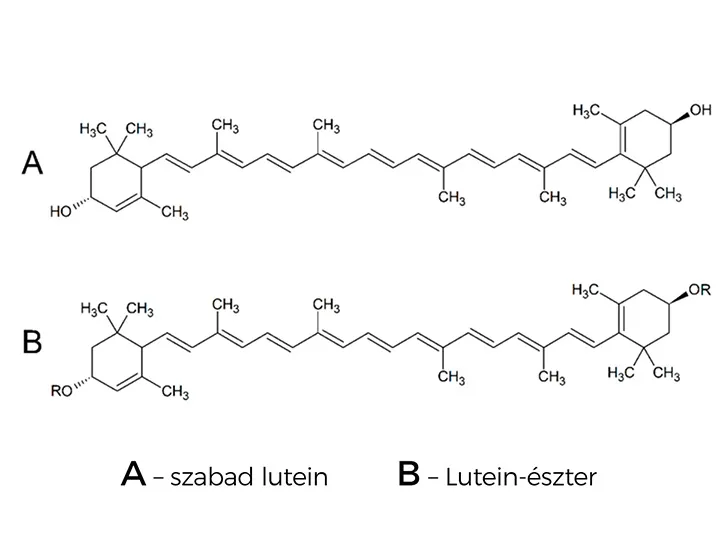 Lutein Pro szemvitamin – mikrokapszulázott szabad lutein + 7 féle tápanyag a látásért - 54 tabletta - Natur Tanya