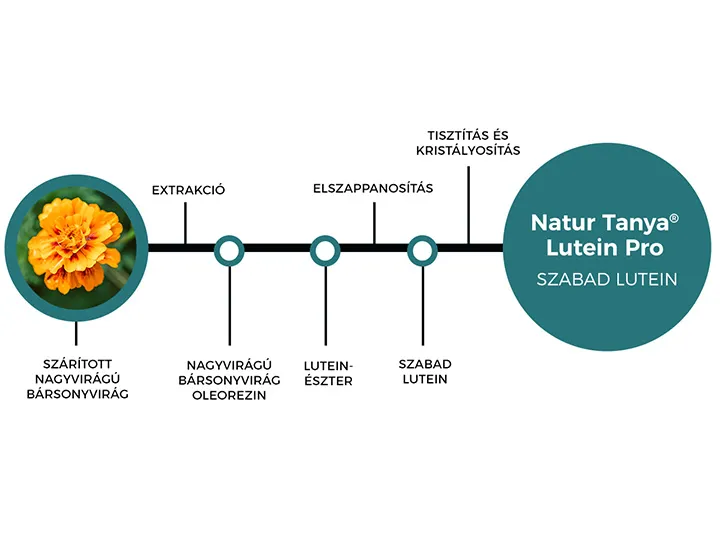 Lutein Pro szemvitamin – mikrokapszulázott szabad lutein + 7 féle tápanyag a látásért - 54 tabletta - Natur Tanya