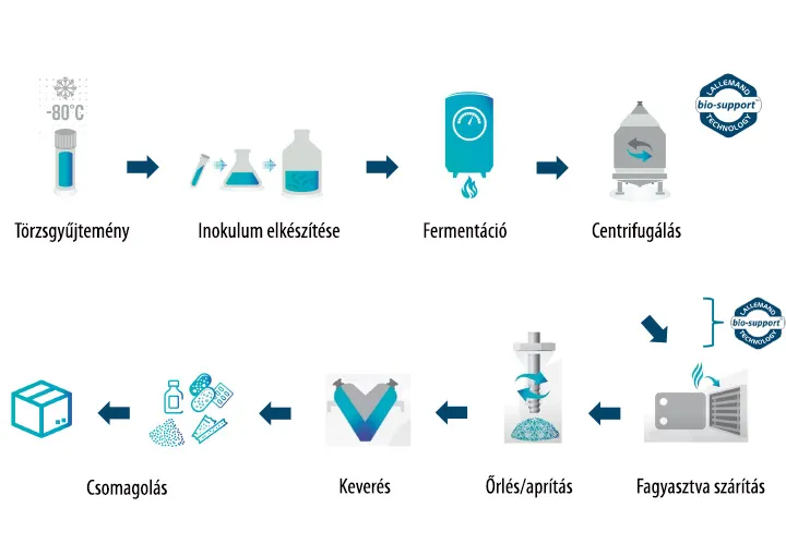 P-BIOTIKUM - liofilizált élőflórát és B6-vitamint tartalmazó étrend-kiegészítő, gyomorsav-ellenálló növényi kapszulában - 30 kapszula - Natur Tanya