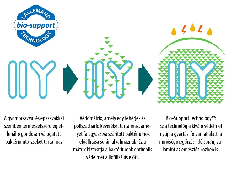 P-BIOTIKUM - liofilizált élőflórát és B6-vitamint tartalmazó étrend-kiegészítő, gyomorsav-ellenálló növényi kapszulában - 30 kapszula - Natur Tanya