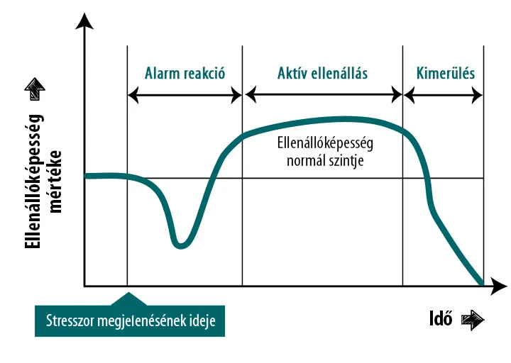 Stress Control-R - Adaptogén gyógynövényekkel támogatja a stressztűrő képességet - 30 kapszula - Natur Tanya